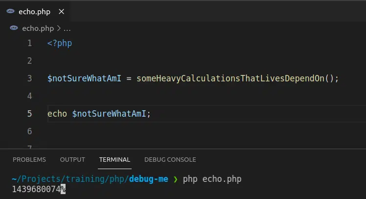 Echo php