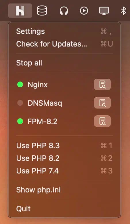 Laravel herd